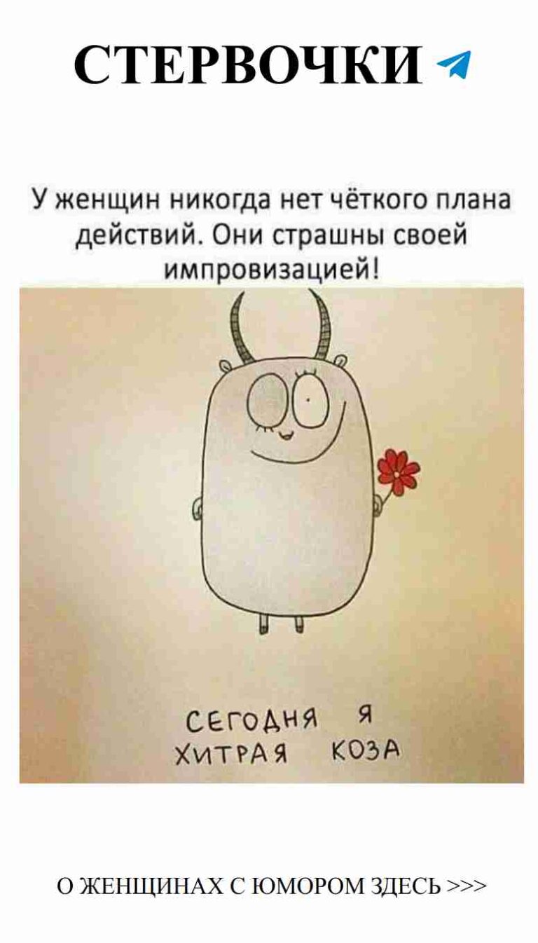 Смешные цитаты о любви и жизни для женщин