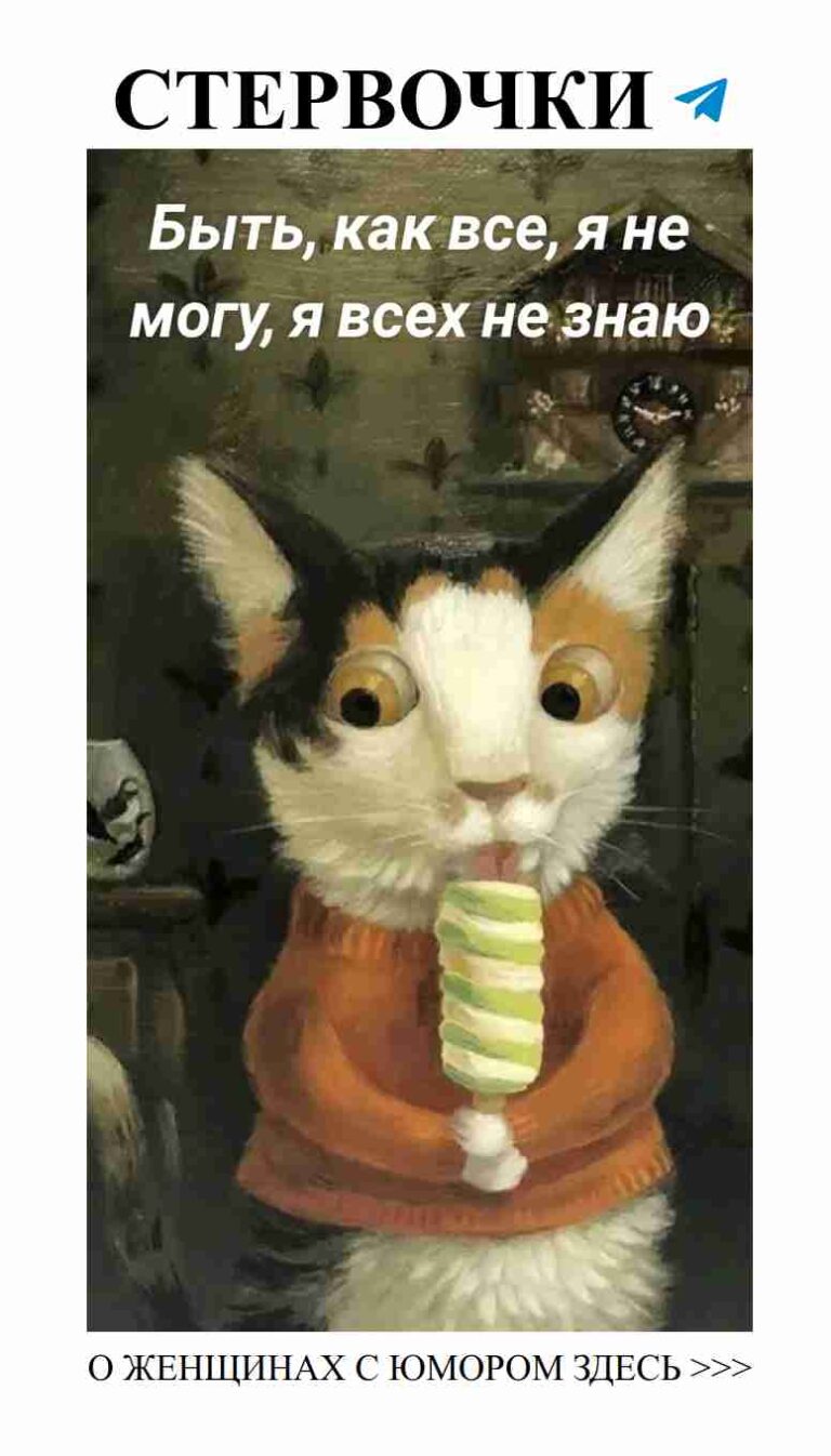 Кошка с мороженым: нежность и смешные моменты любви