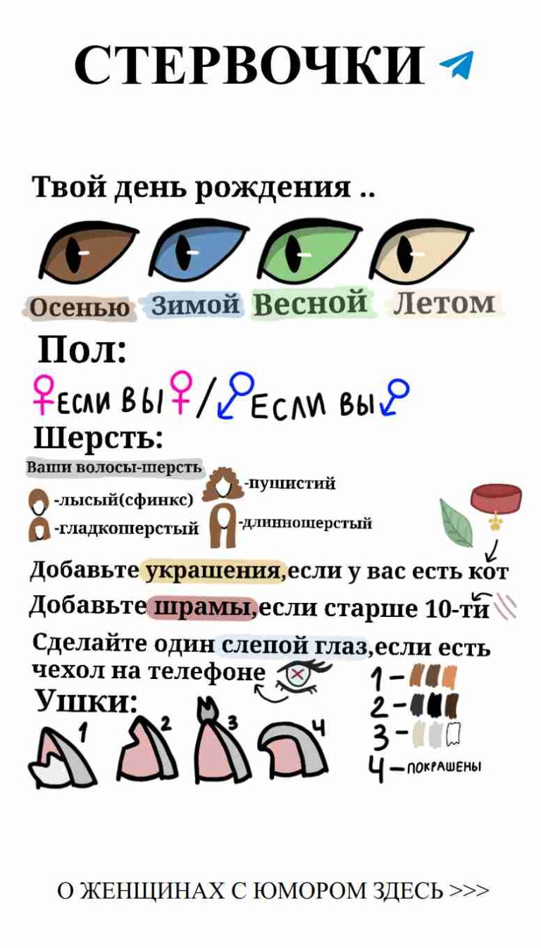 Любовь с толком: когда смех и чувства идут рука об руку