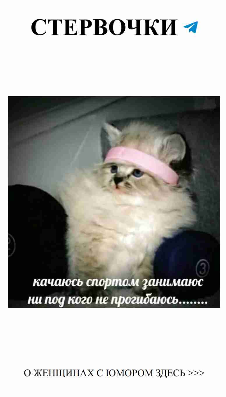 Смешные истории о любви, которые вас развеселят