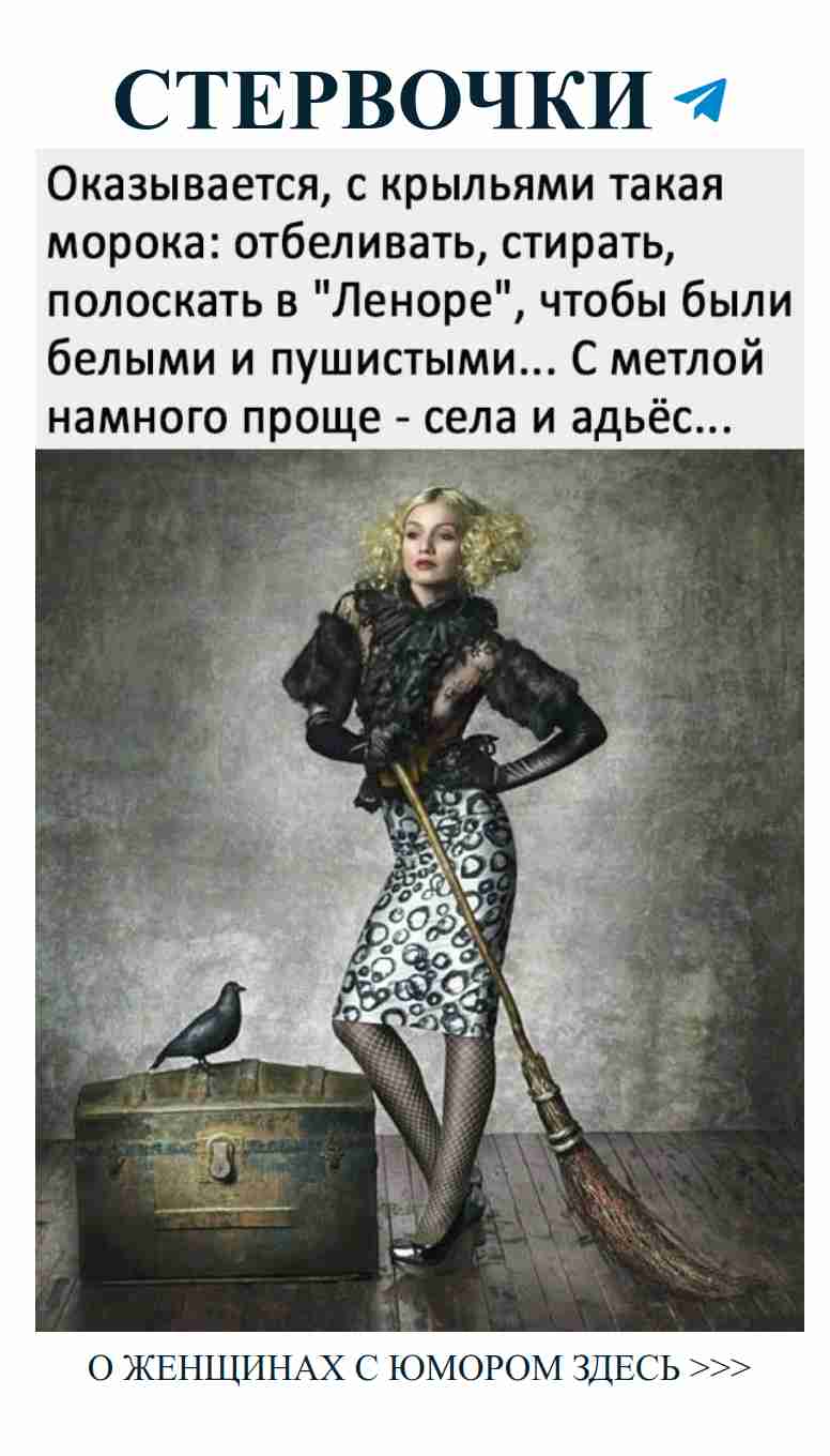 Когда жизнь дает тебе чемодан, не забудь взять воробья