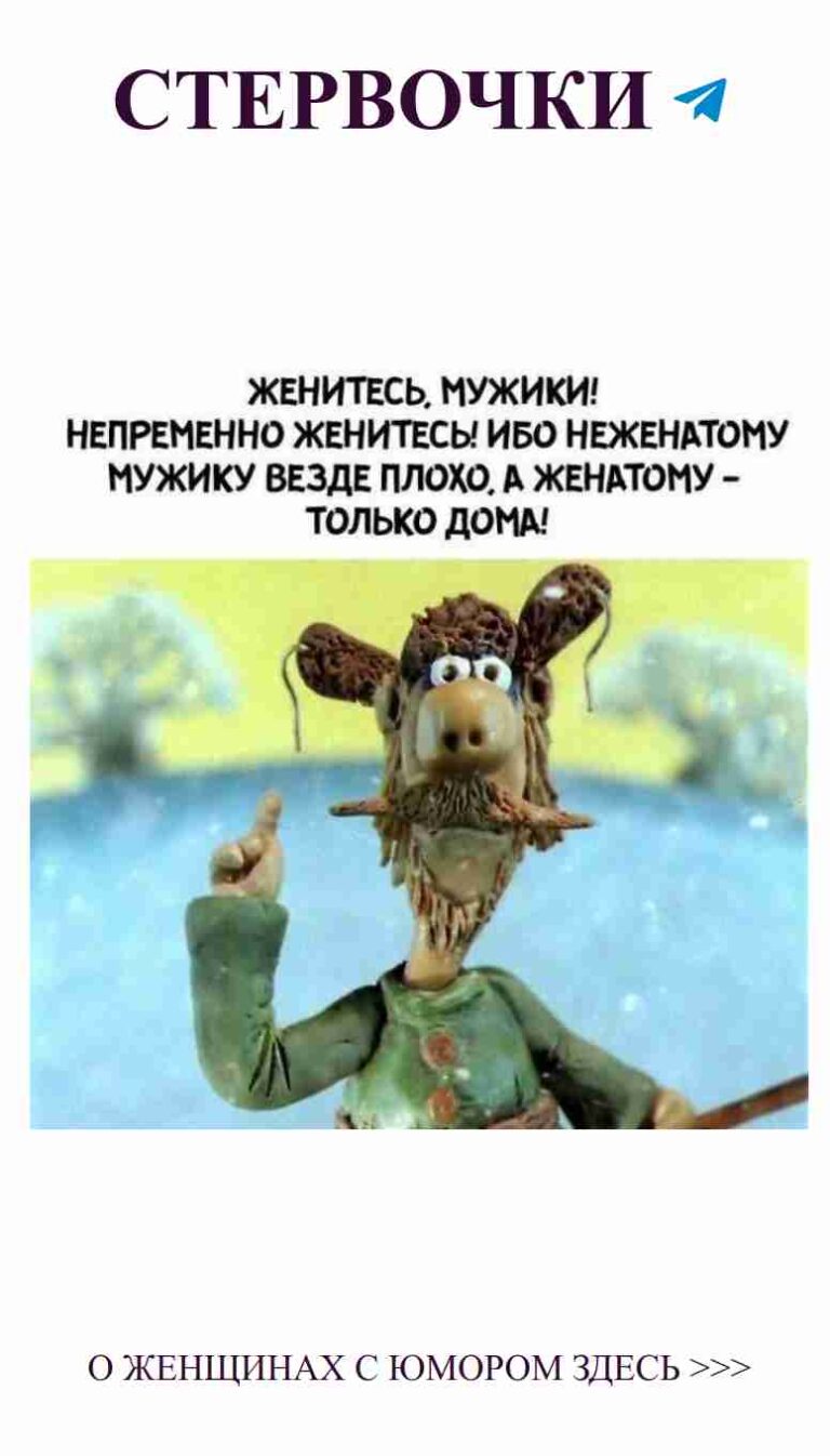 Любовь и юмор: когда твой пёс смелее, чем ты