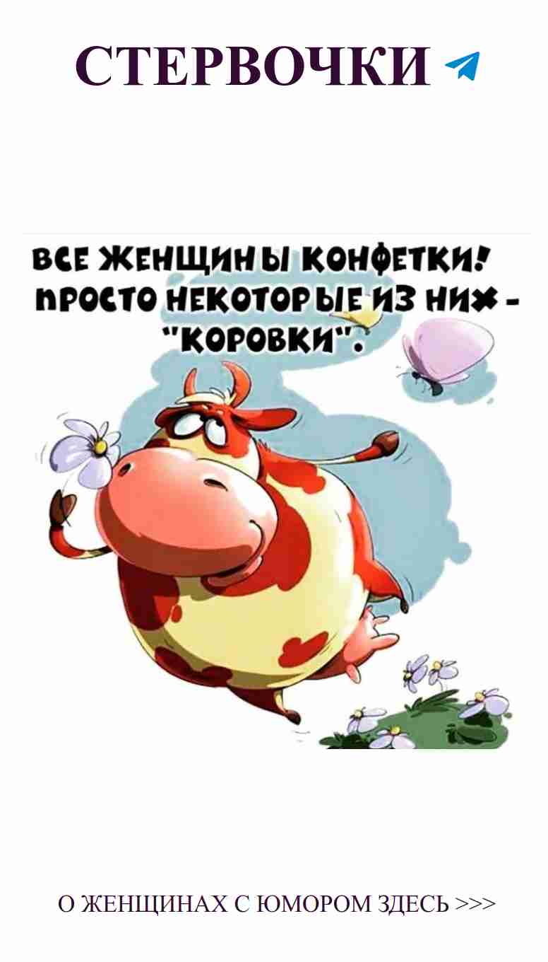 Коровьи мечты: веселые моменты о любви и дружбе