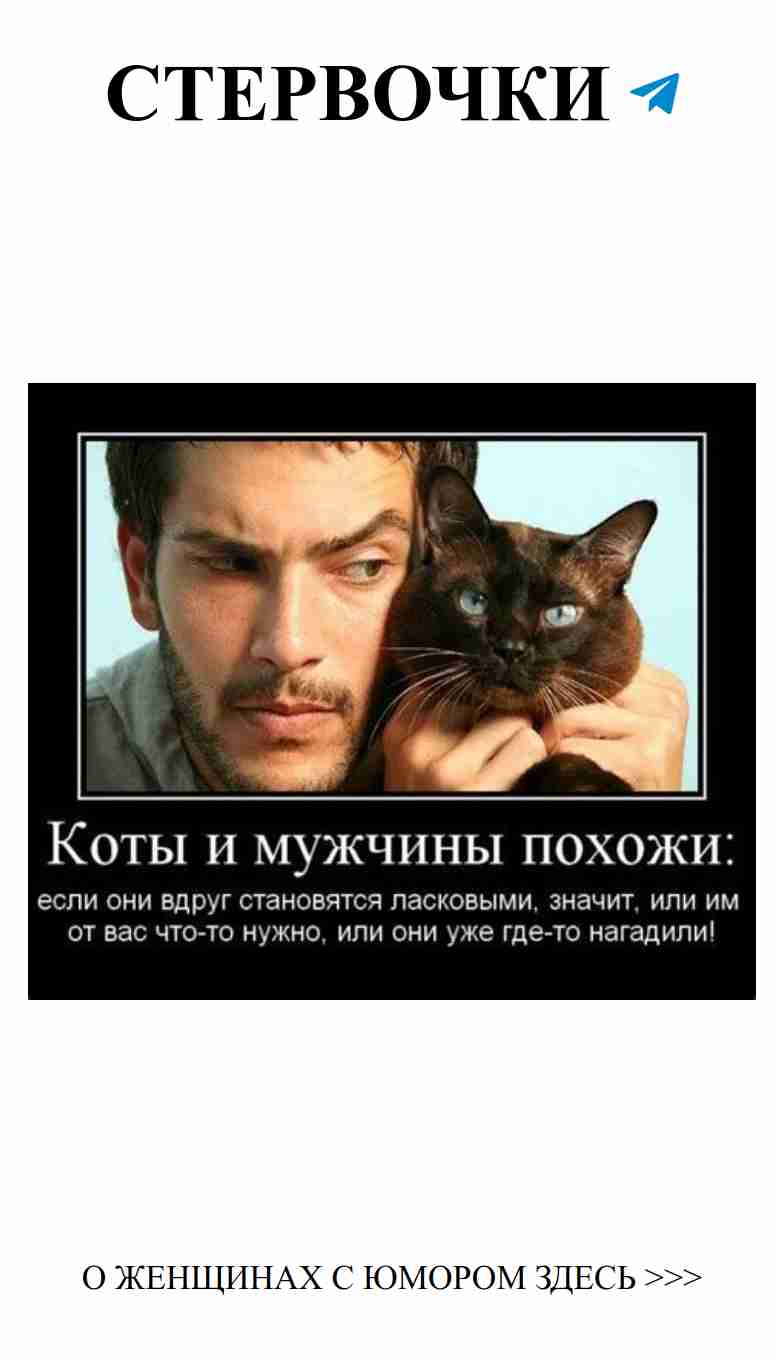 Что-то о любви, но я не знаю, что это такое