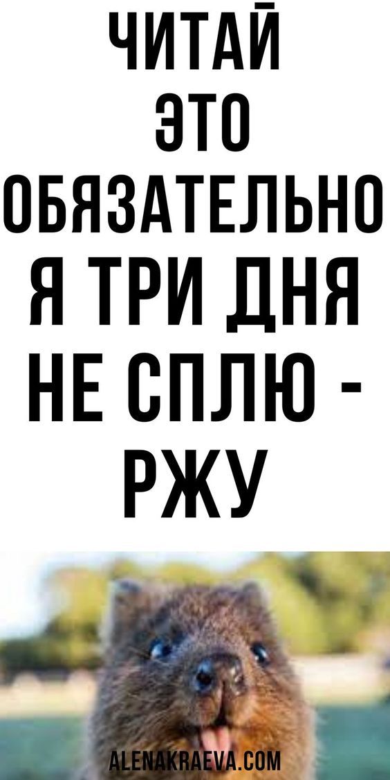 Анекдот: три дня не сплю — ржу, всем пацанам рассказал, смешно до слез