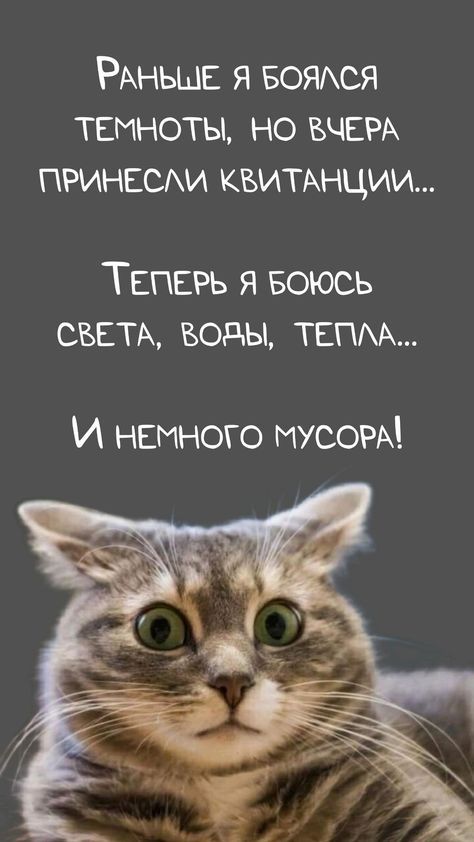 юмор очень смешно 323