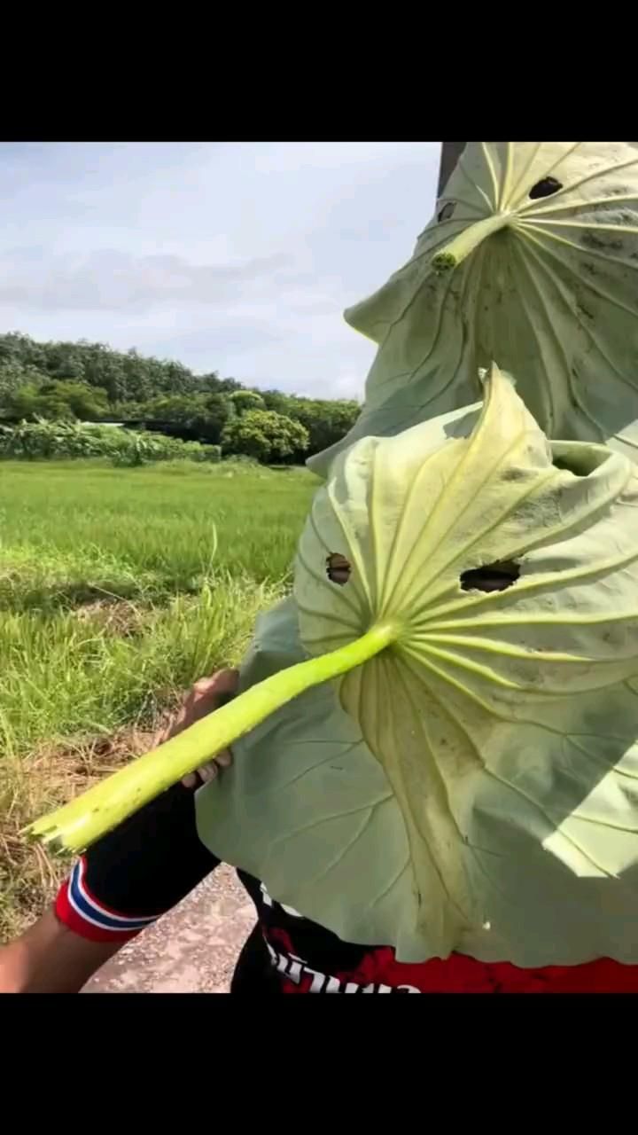 Уходим от Погони)