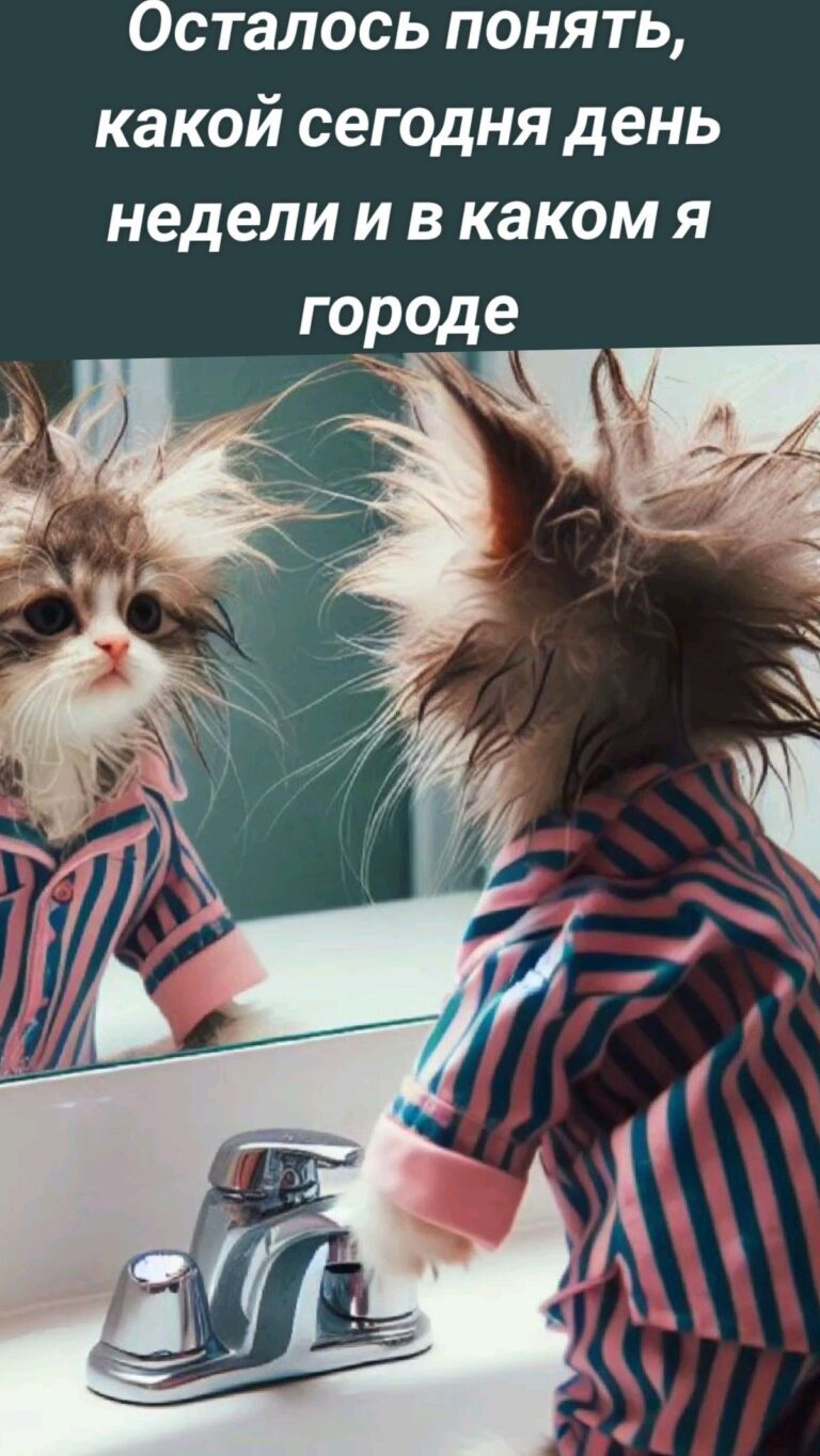 Осталось понять, какой сегодня день недели и в каком я городе
