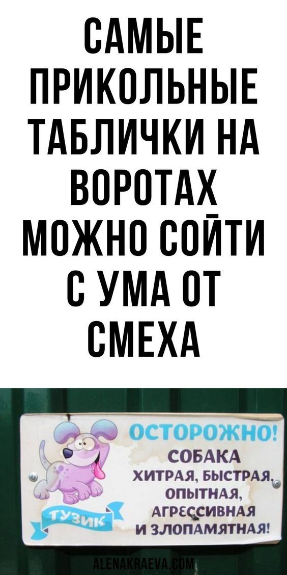 женский юмор 1013