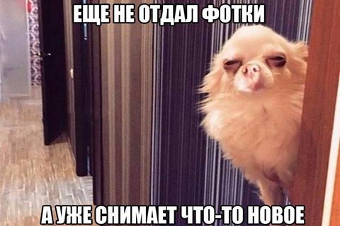 Юмор про фотографов