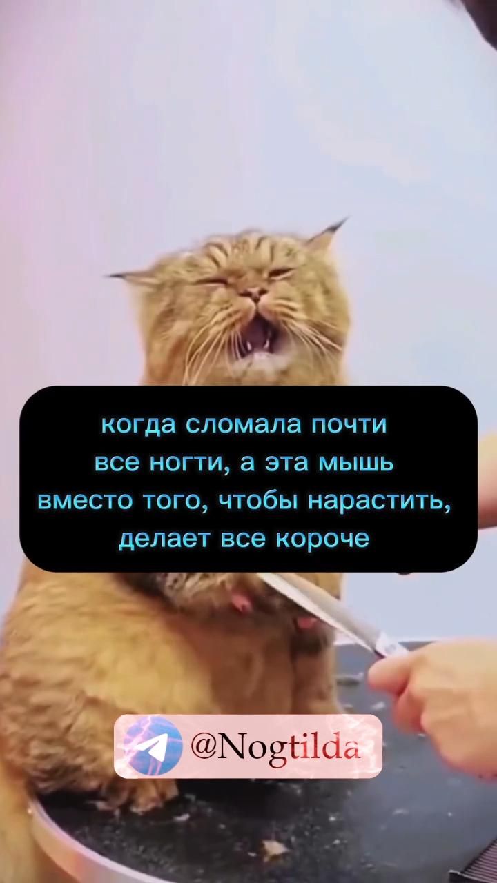 Маникюрные мемы, от которых ты поржёшь😂 Приколы из жизни мастеров