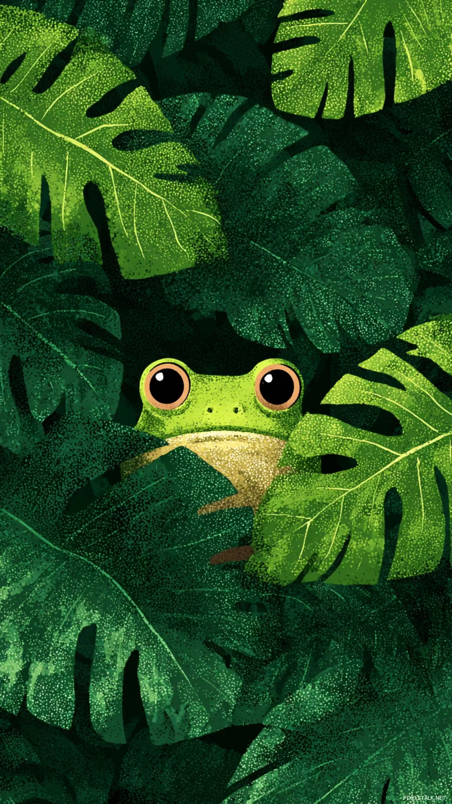 Aesthetic Frog Wallpaper