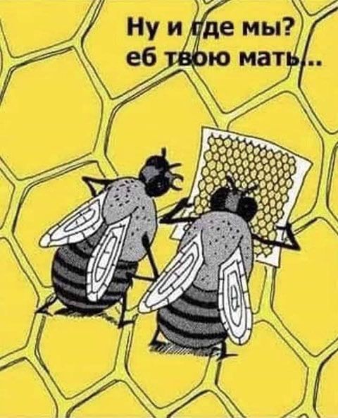 «Картинки разные нужны, картинки разные важны» 21.09 – ЯПлакалъ