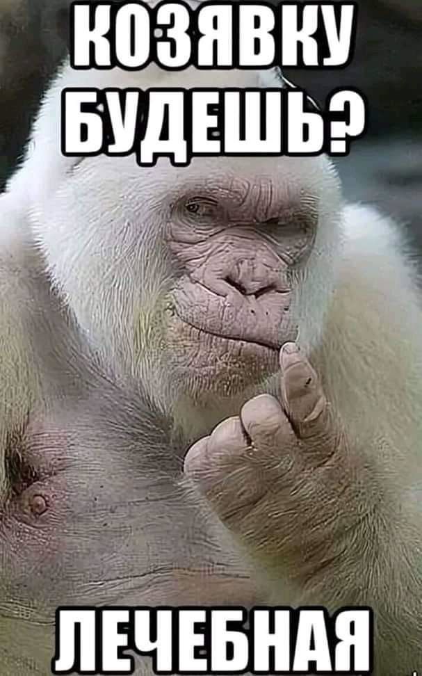 мой одноклассник