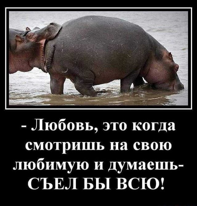 – Любовь, это когда смотришь на свою любимую и думаешь- СЪЕЛ БЫ ВСЮ! – АйДаПрикол