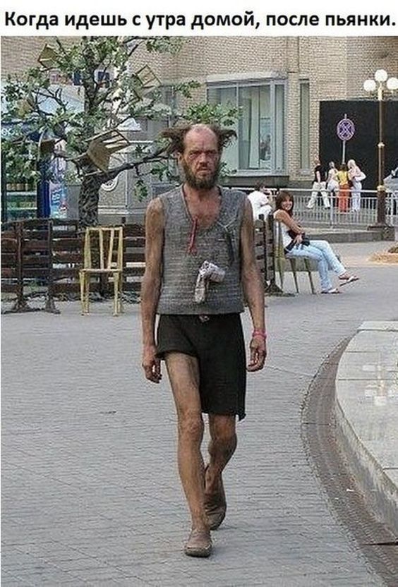 Подборка смешных фото с прикольными надписями