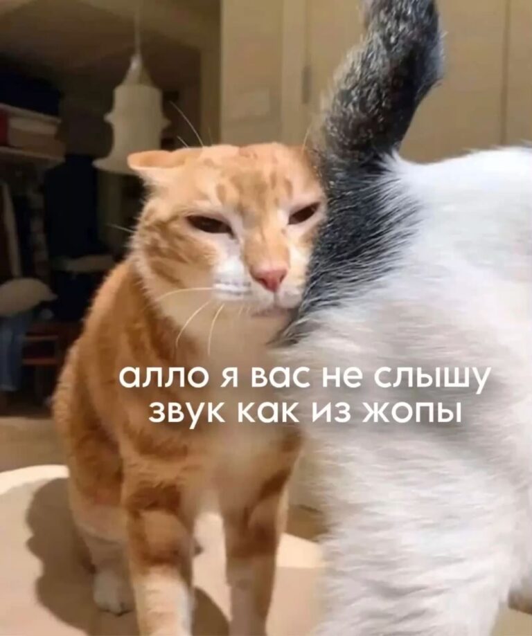 Мем