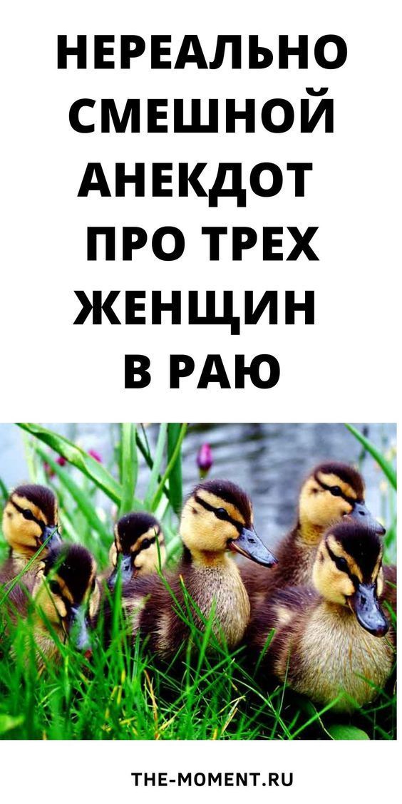 Новый и очень смешной анекдот о трех женщинах в раю | beauty-tips.ru