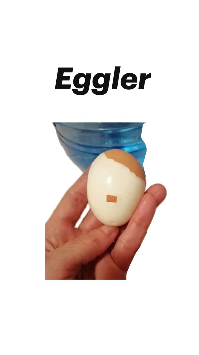 Eggler