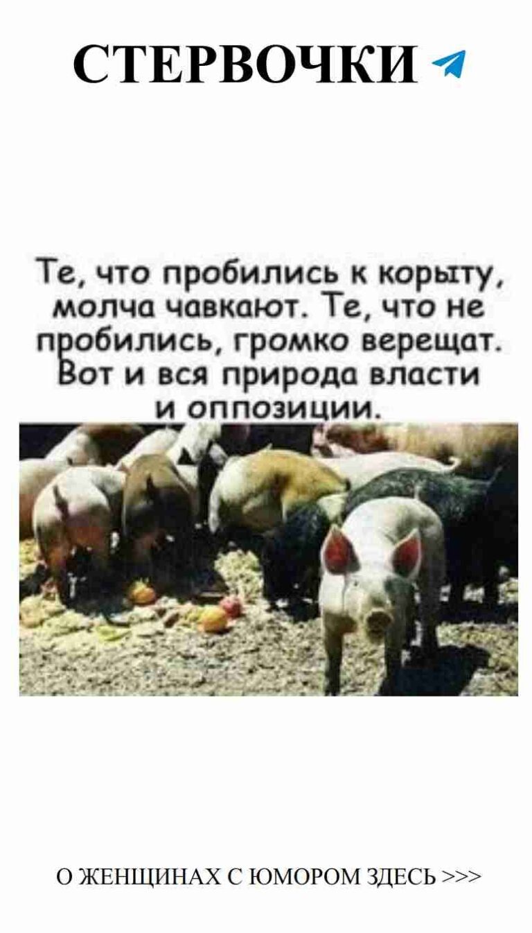 Любовь и юмор: как женщины смеются над шизофренией