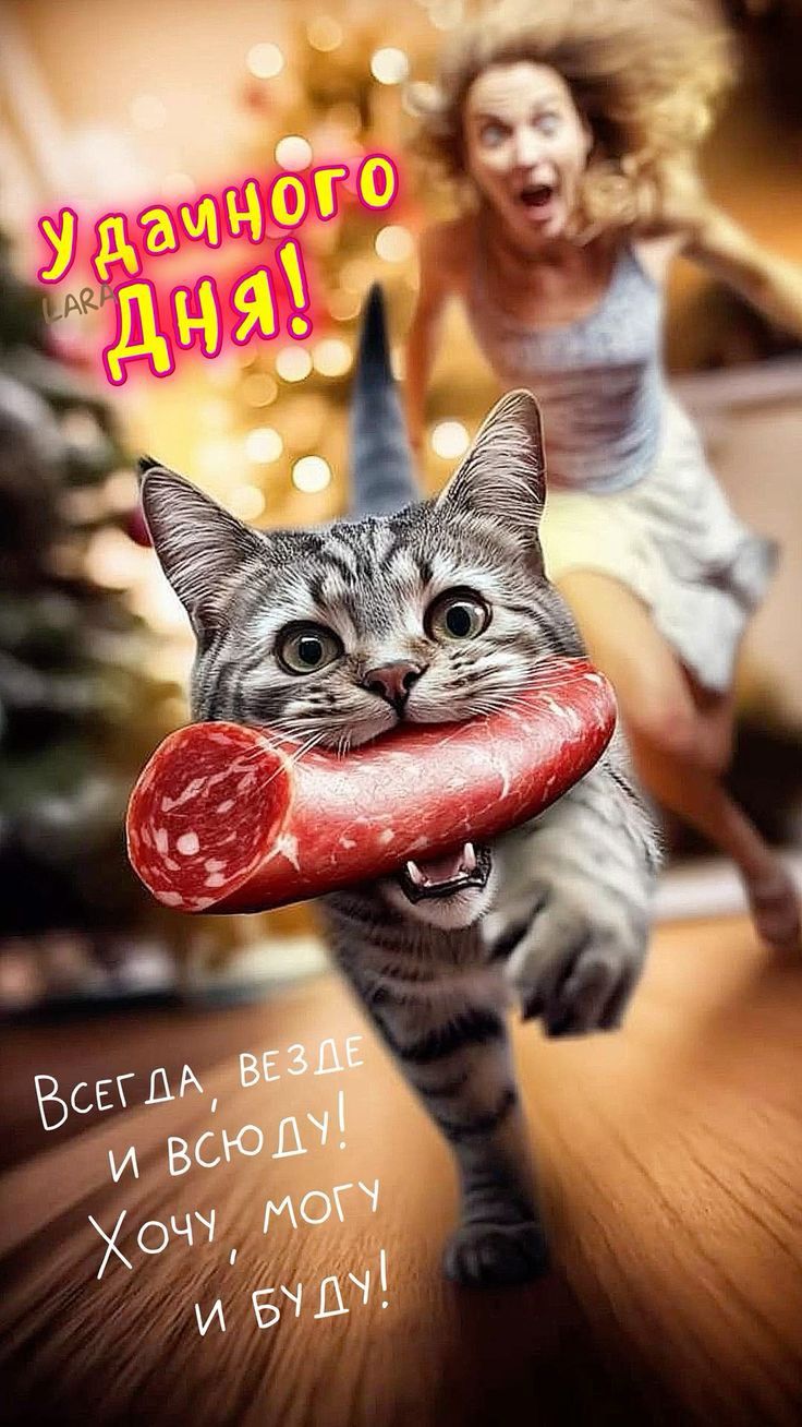 хорошего дня 😌😌😌