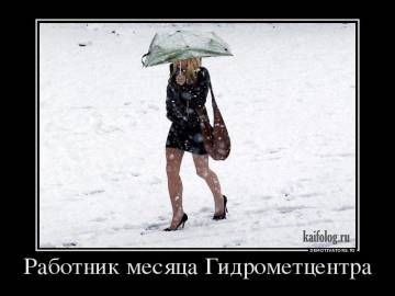 картинки смешные920