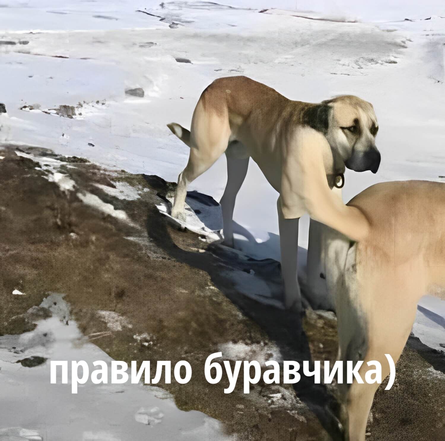 правило буравчика)