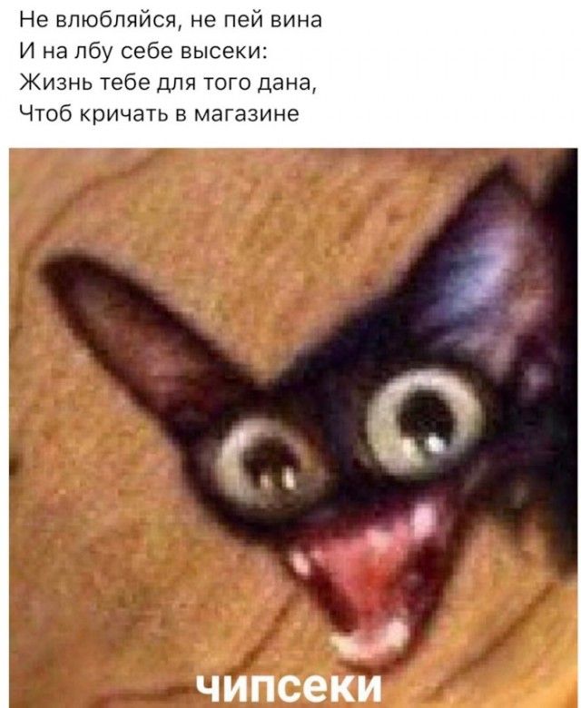 Вижу Рифмы – ЯПлакалъ