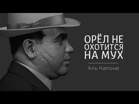 юмор очень смешно 315