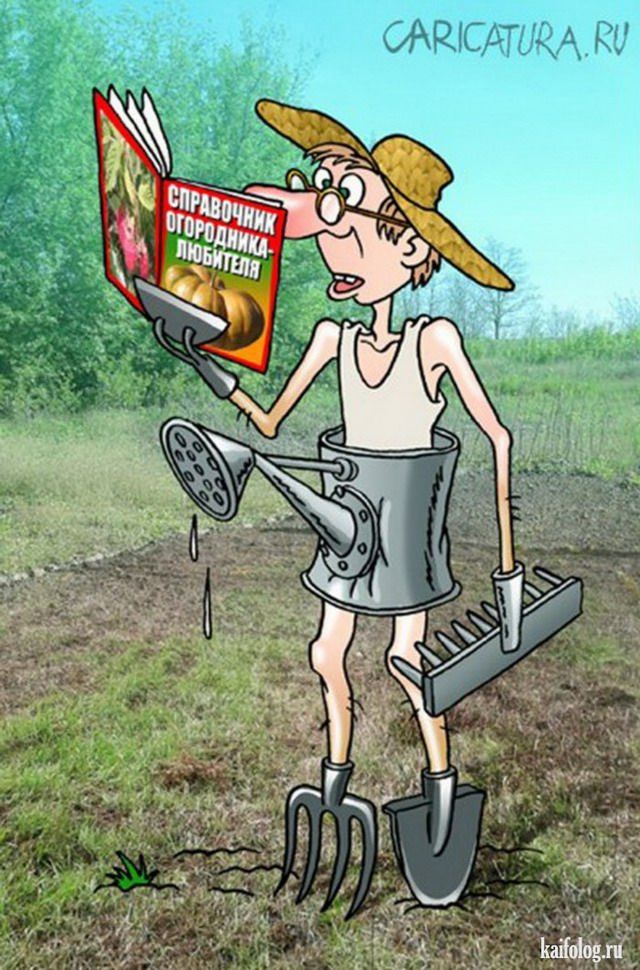 Новые картинки и карикатуры (50 картинок)