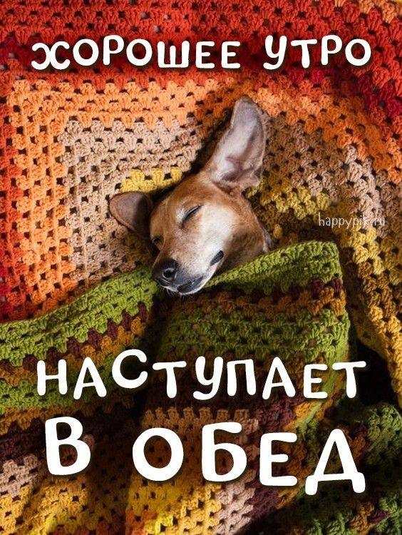 💌☀️😄 Картинки Хорошего дня – скачать