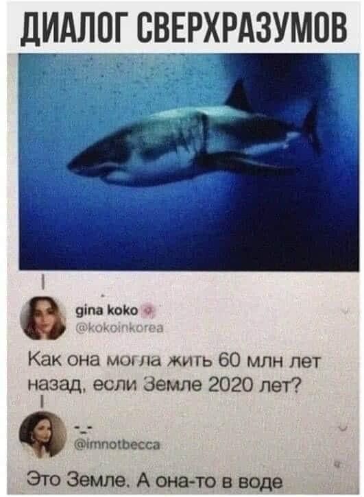 смешные открытки525