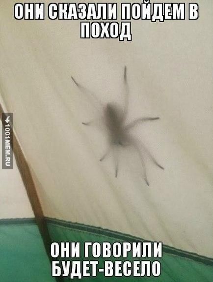 Приколы в походе. (12 фото) 🔥 BipBap.ru