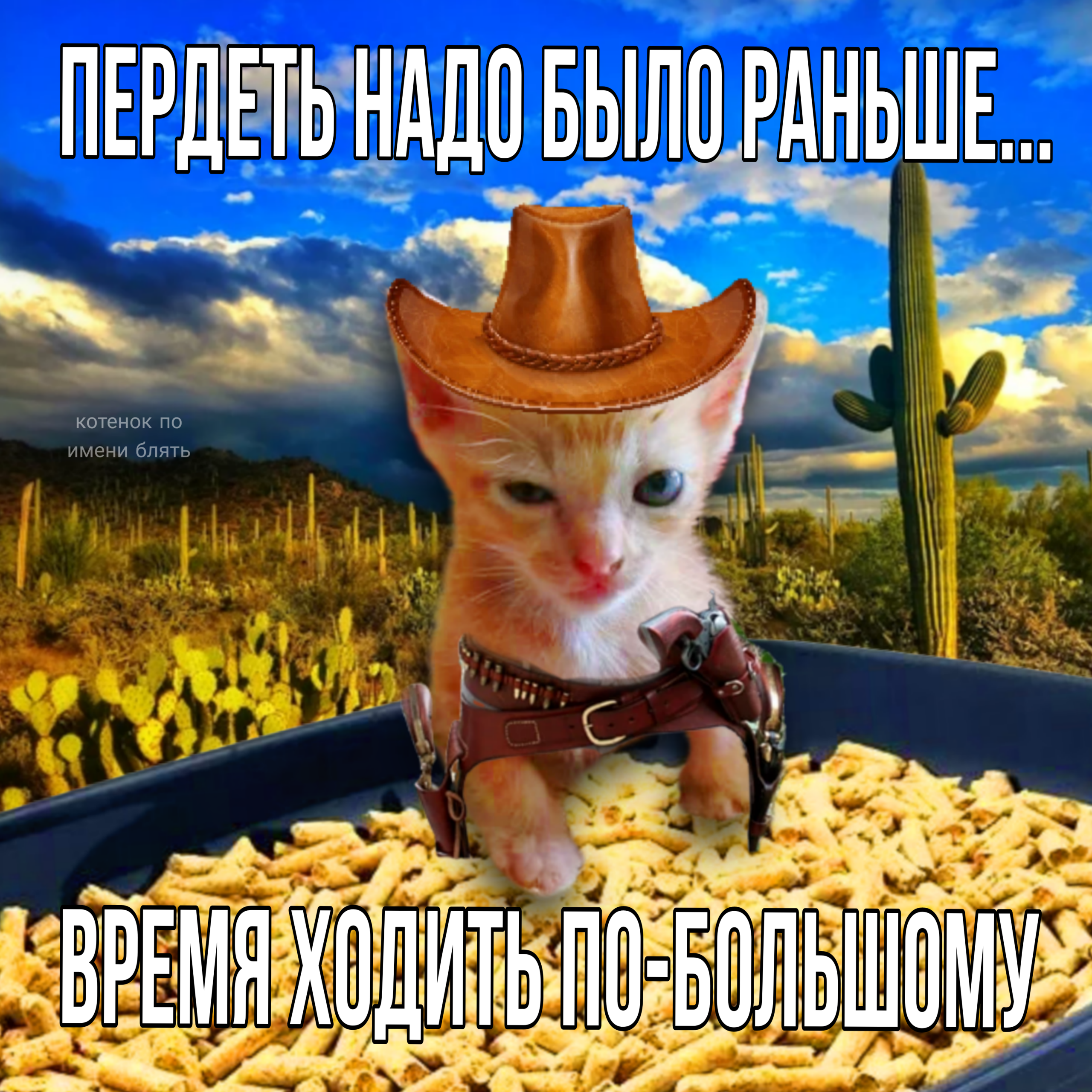 тот самый котенок