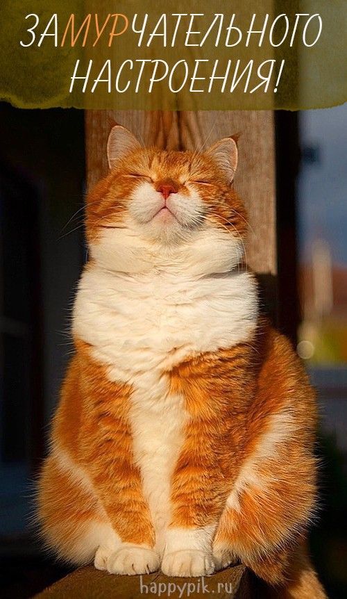 Позитивные картинки Доброе утро 😄 👇 – скачать