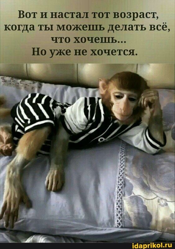 Вот и настал тот возраст, когда ты можешь делать всё, что хочешь… Но уже не хочется. – АйДаПрикол