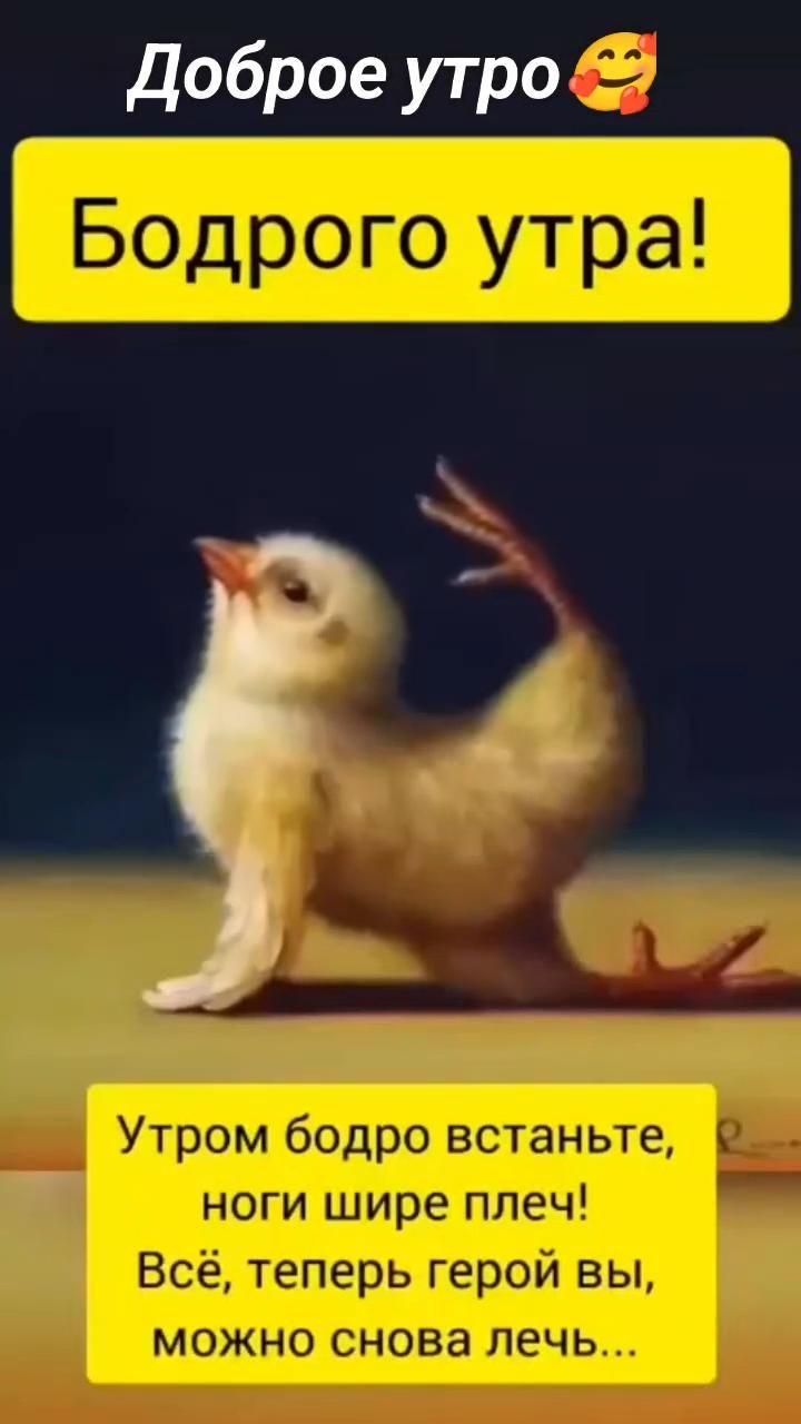 Бодрого утра!