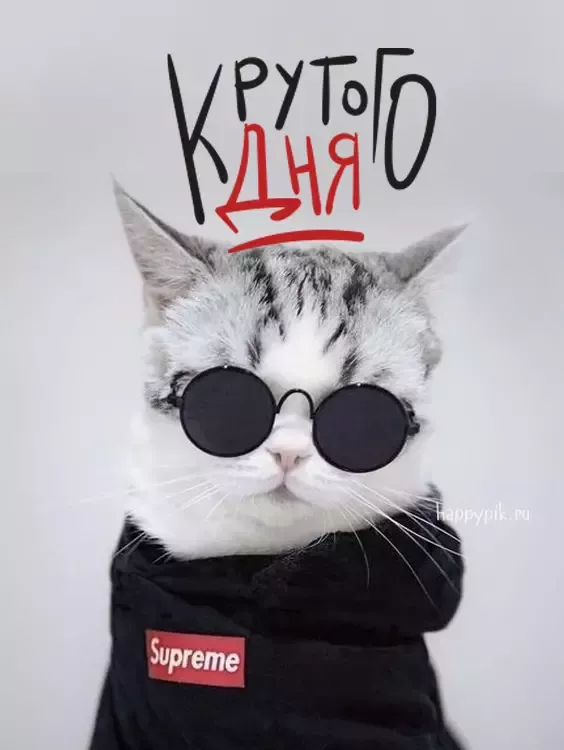 Картинки с надписями \