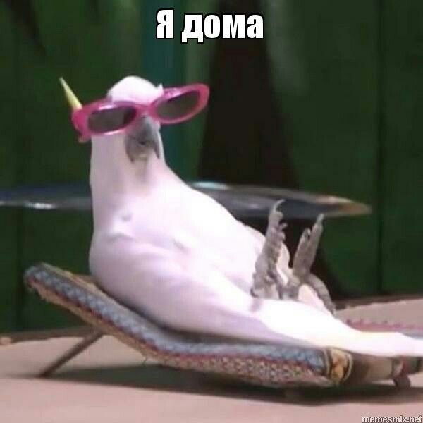 Я дома , а ты нет.