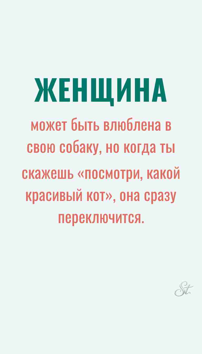 Женская философия и ироничные мысли
